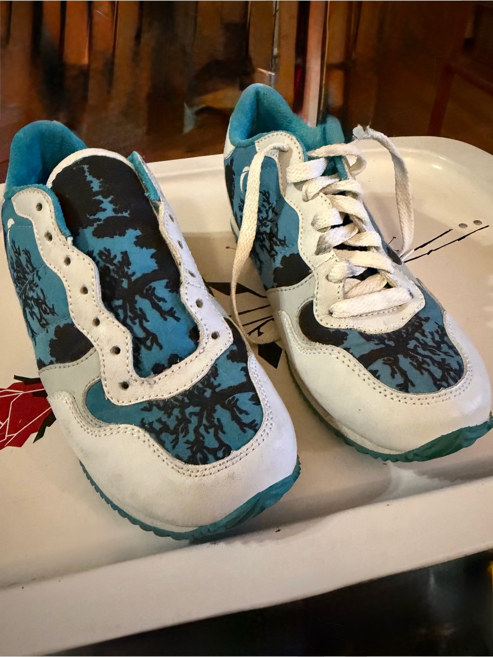 Vintage Limited Edition Etnies - retro styling and a Night Sky graphic